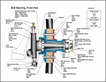 Basic Wood Felloe Front Hub Cross Section