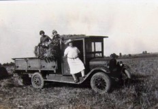 dty 44