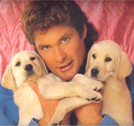 hasselhoff.jpg