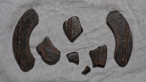 This is what was left of the thrust washers.