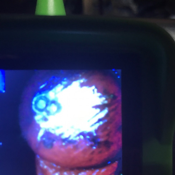 77FD0457-9DDA-4E97-99D9-6F5802C49D73.jpeg