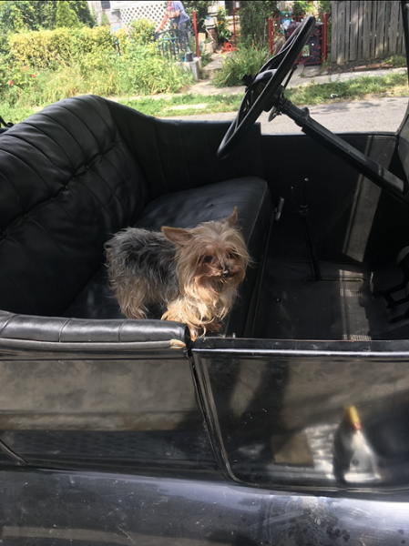 RoxyModelT.png