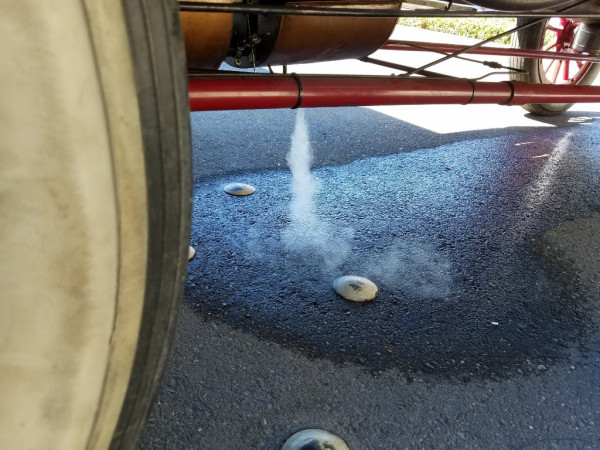 20190831_144931_resized_1.jpg