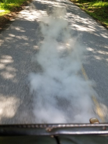 20190527_123845_resized_1.jpg