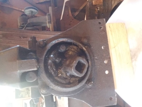 20190401_172253.jpg