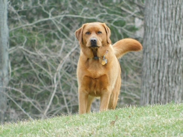 oakley 2.JPG