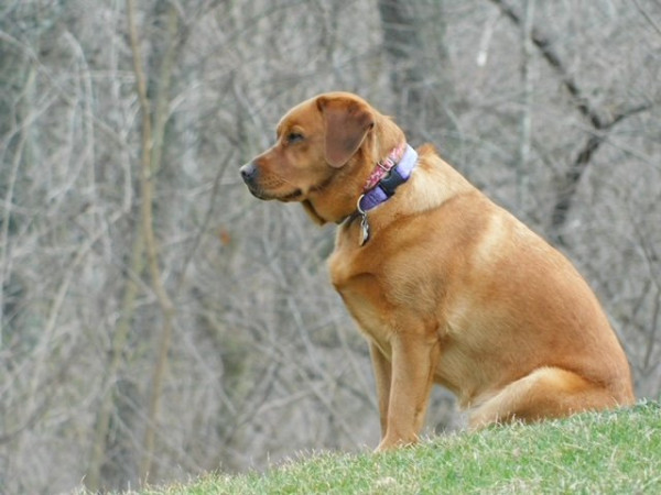 oakley 3.JPG