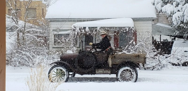 T in the snow..... (800x389).jpg