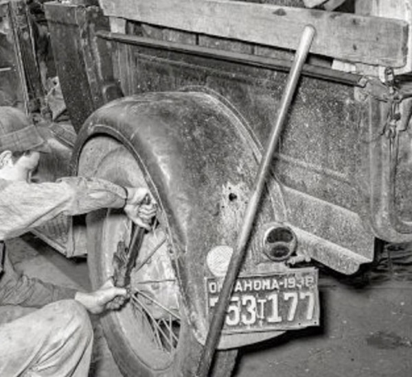SHORPY-8b22419a_preview.jpg