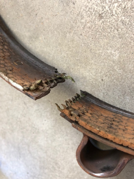 Band close-up.jpg