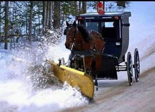 snowplow.jpg