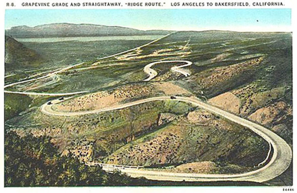 GRAPEVINE POSTCARD.jpg