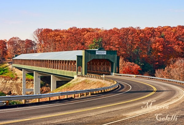 105589137_tSCqSN30_SmolenGulfBridge5283tpz.jpg