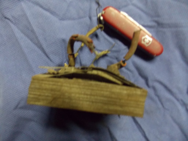 DSCN0965.JPG