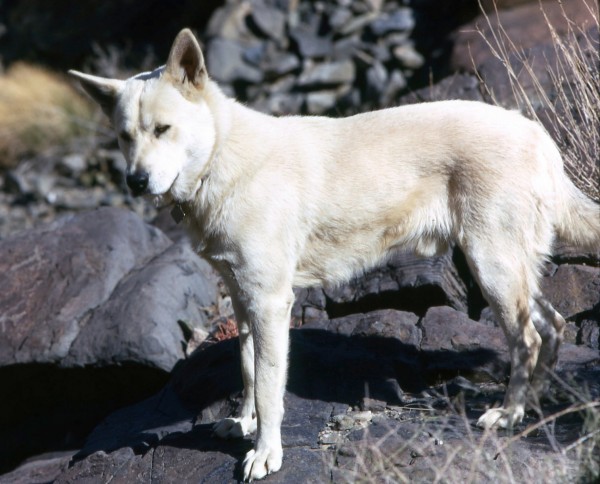 S 5-70-046 copy.jpg