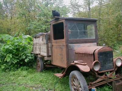 P1010034.JPG