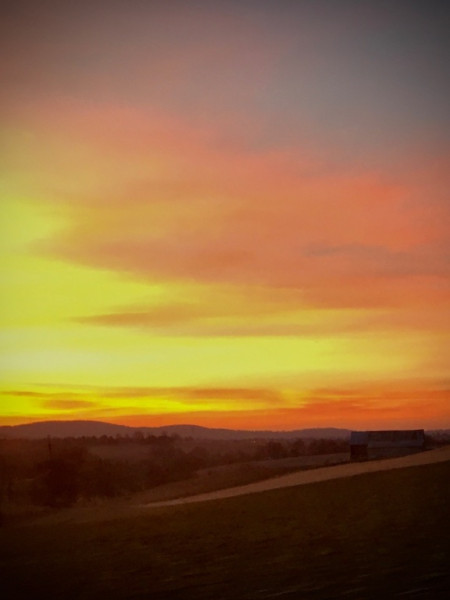 8770FD08-B453-4D05-9326-7BC0D3AC6E03.jpeg