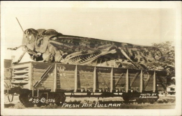 grasshopper car.jpg