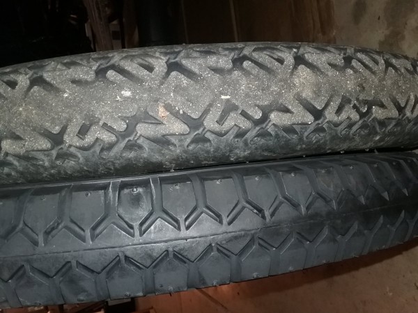 20190412_062407.jpg