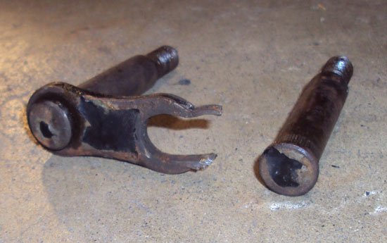 401617.jpg