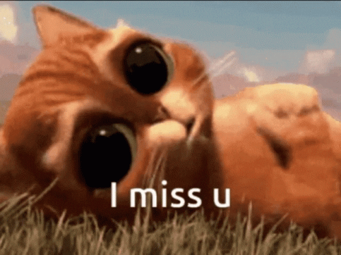 I miss you.gif