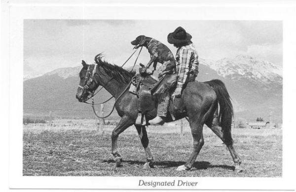 Designated driver.jpg