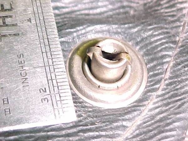 293679.jpg