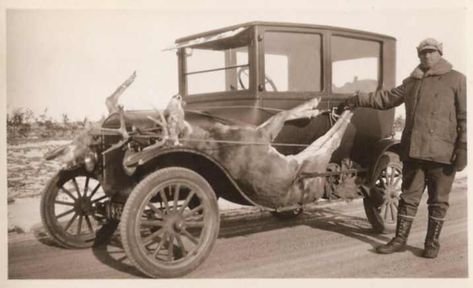 b7f28f108183e43a09e23be84d76f50c--magic-carpet-old-photos.jpg