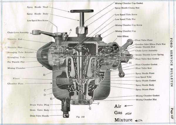 HolleyG4.jpg