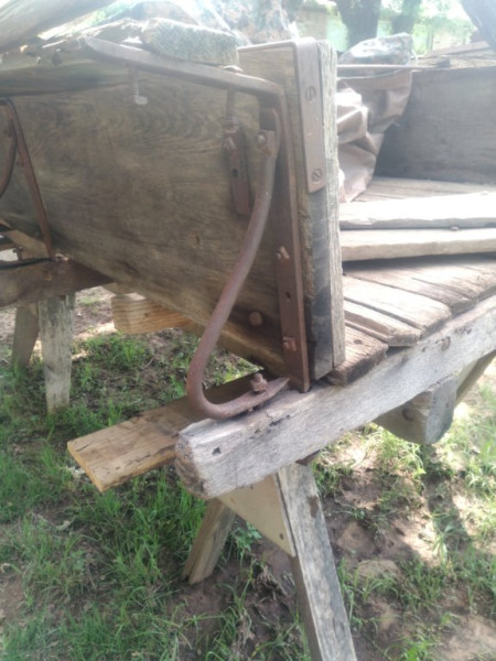 Intact Brace