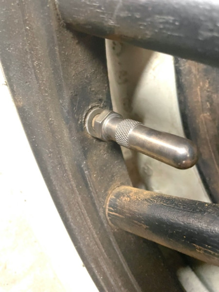 Rubber stem with cosmetic brass cap.jpg
