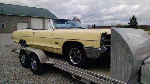 IMG_20181106_120445940 (640x360).gif