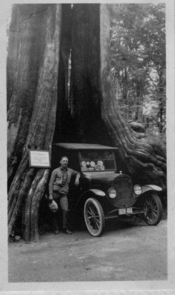 VictoriaBCCarInTree200.JPG