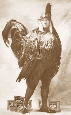 Spambird.jpg