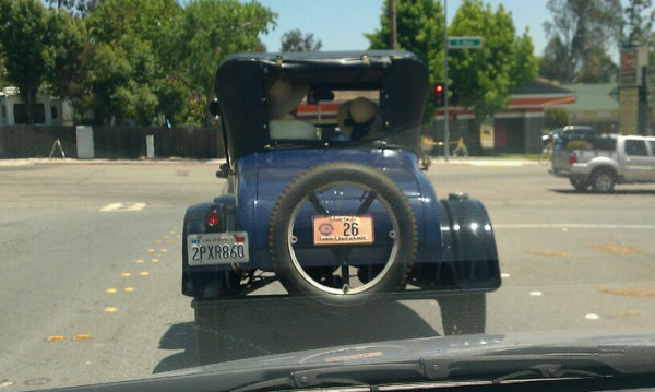 Nellie , May 21, 2011.jpg
