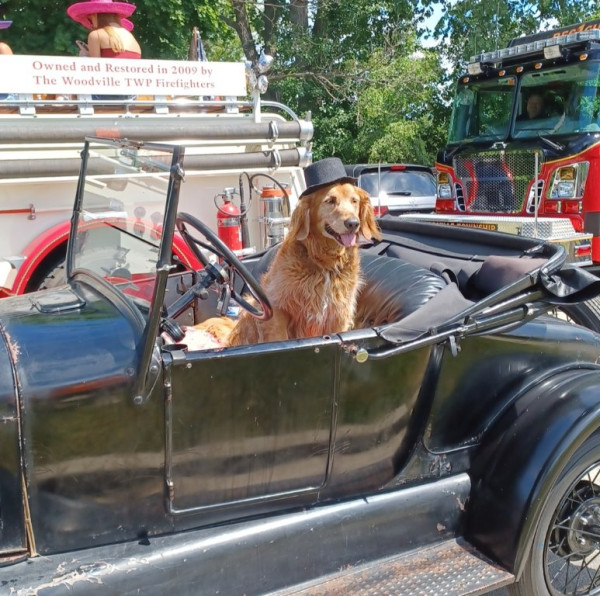 Champ stole the show! Maybe the main attraction of the parade!