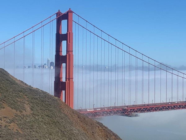 189062E4-4725-4647-B830-1C01863C8691.jpeg