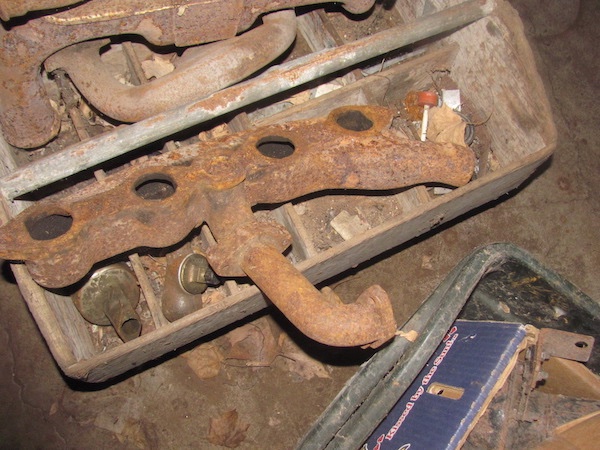 Rajo ,manfold back.jpg