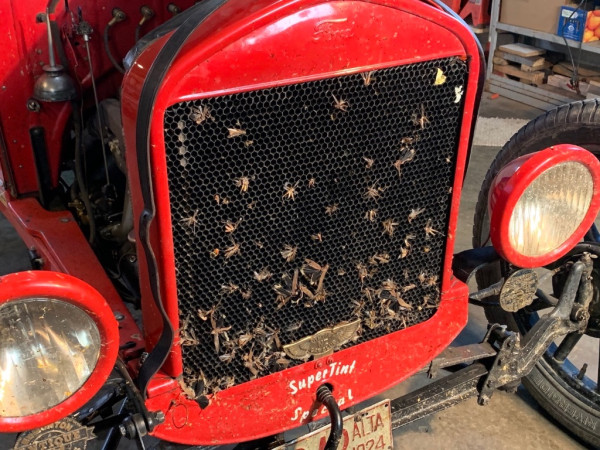 24T Few bugs to work out.jpg