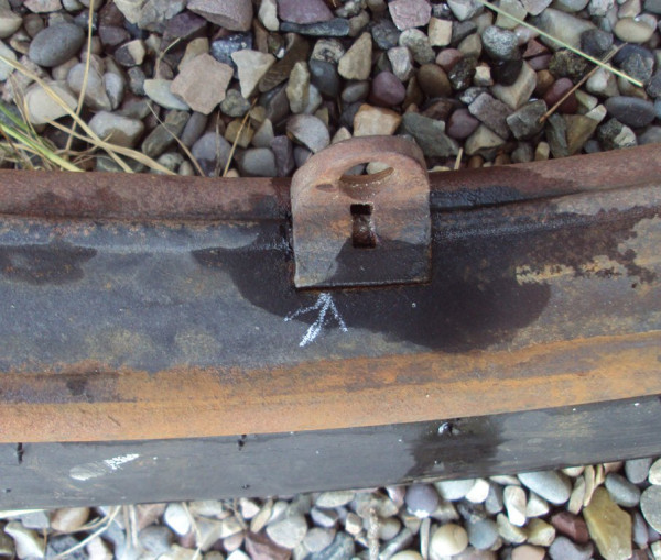 D49.jpg