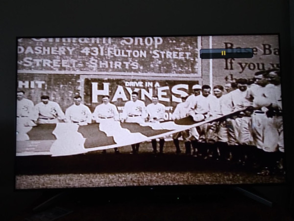 Haynes.jpeg