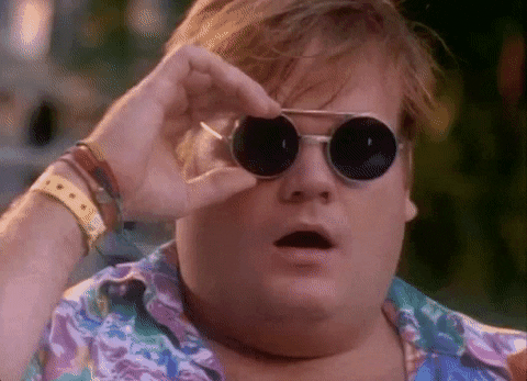 giphy_(17) (1).gif