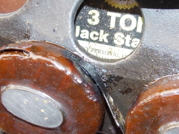 RSCN6921.JPG