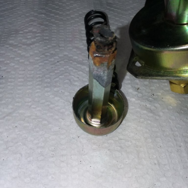 20220524_151953.jpg