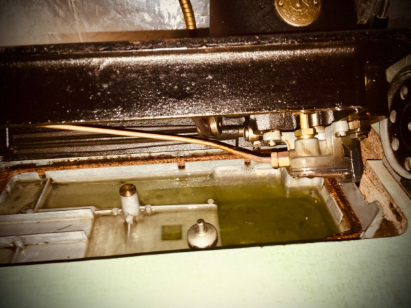 DC8A9930-A72A-4877-B8D1-C62A90D40F06.jpeg