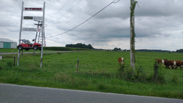 IMG_20220906_153119995.jpg