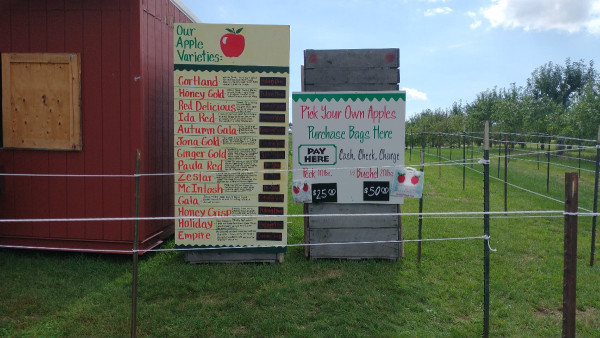 orchard1.jpg