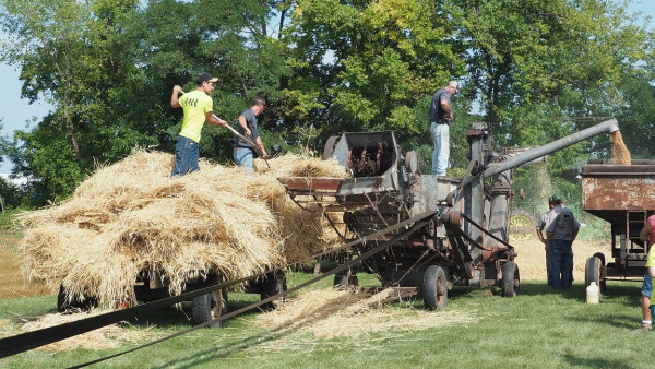 threshing machine.JPG