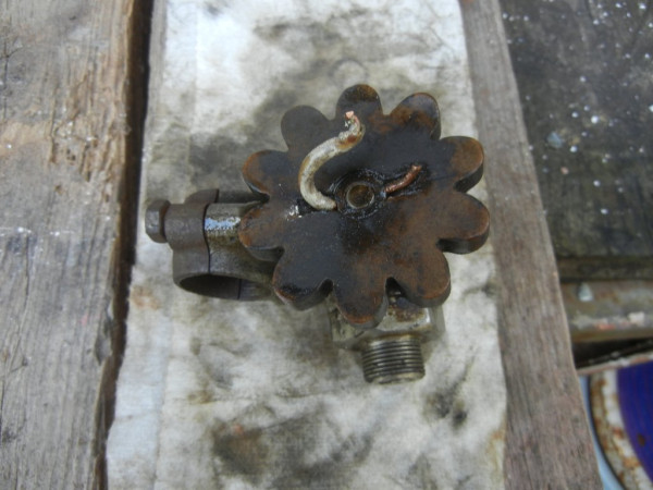 DSCN1663.JPG