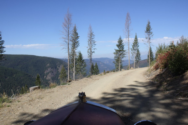 IMG_7149.JPG